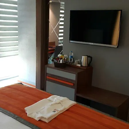 Hotel Onyx Business